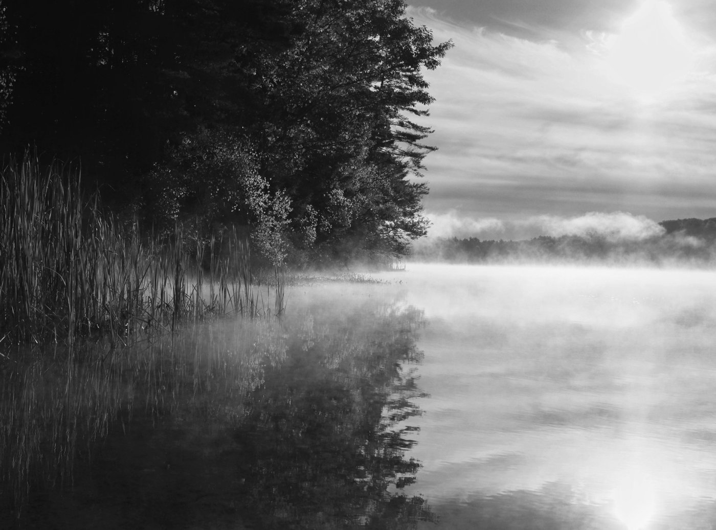 Black-and-white photograph by Rebecca Kavalchuck: morning mist rising off a still lake beside reeds and trees